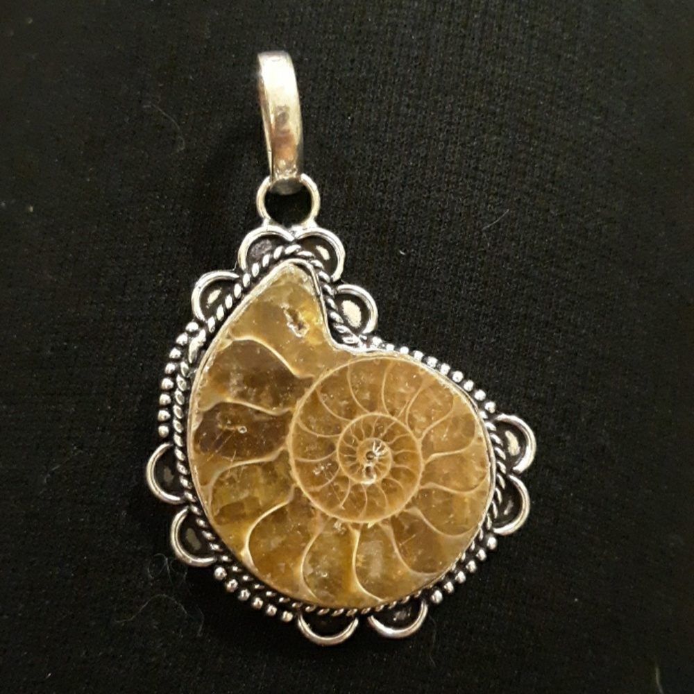New Ammonite Fossil 925 Silver Pendant.